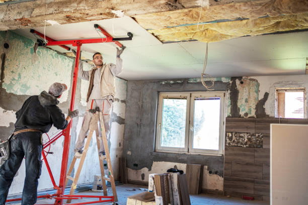 Best Residential Insulation in Black Diamond, FL
